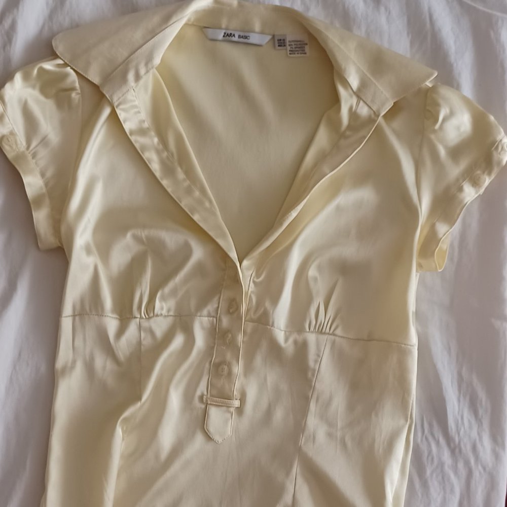 Zara blouse